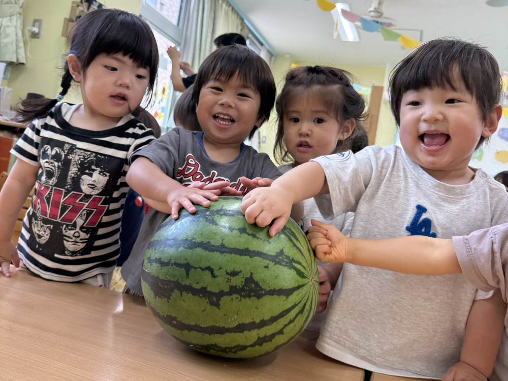 乳児食育　すいかを見る、触る