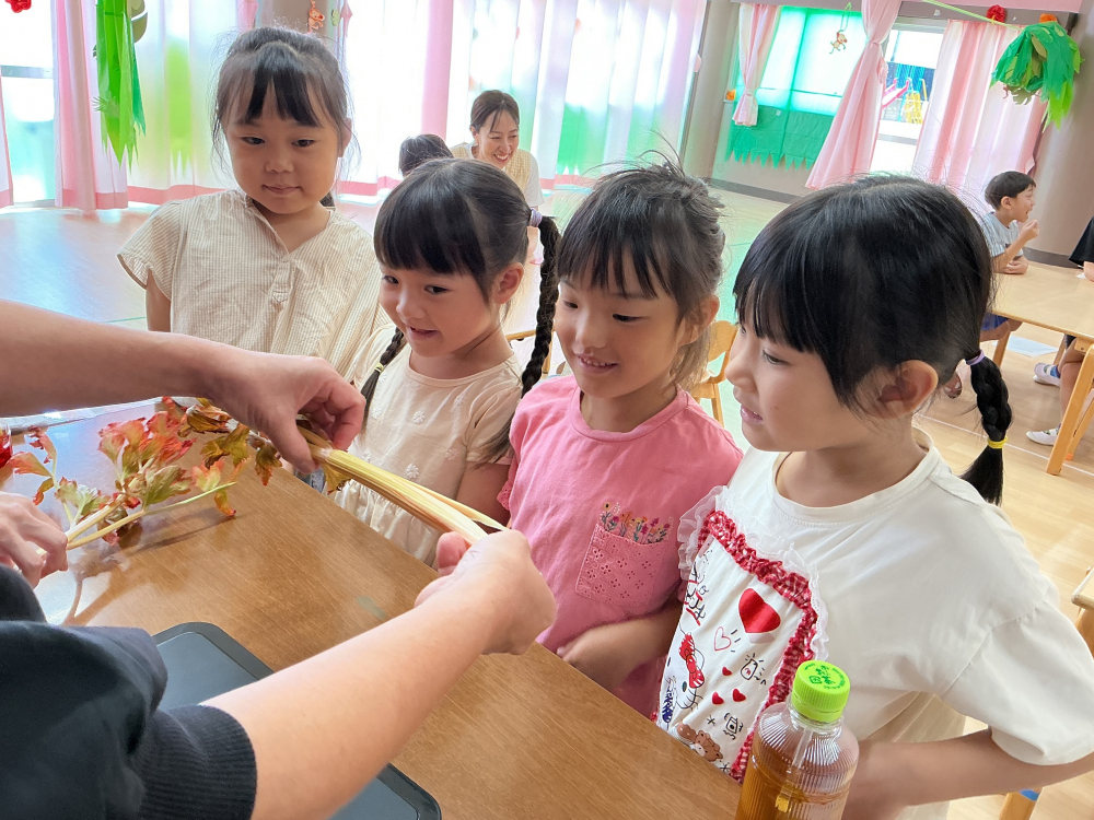 「すくわく理科　植物」