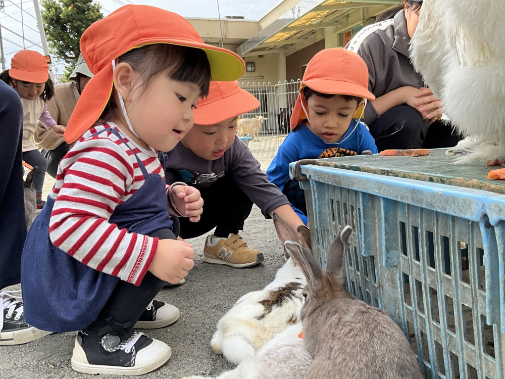 動物村