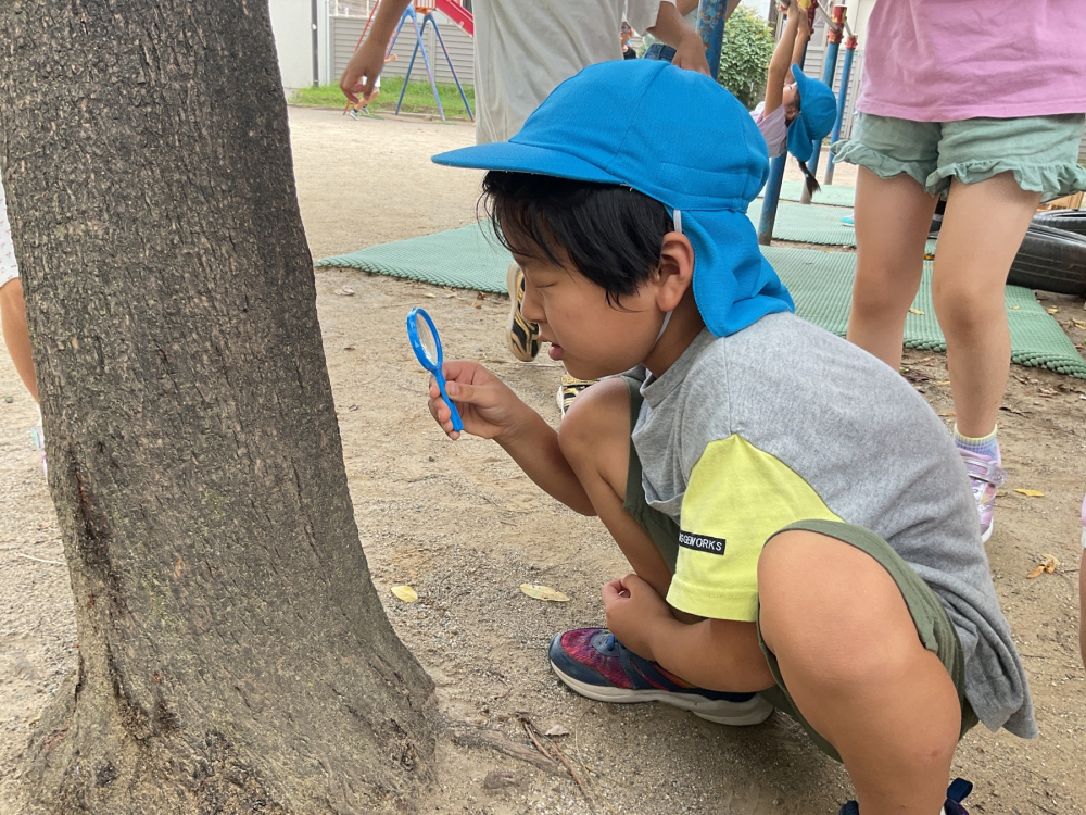 むしめがねで探検!