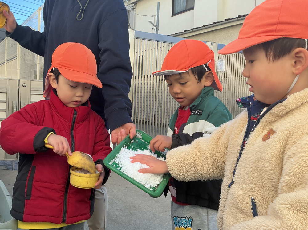冬からの素敵な贈り物