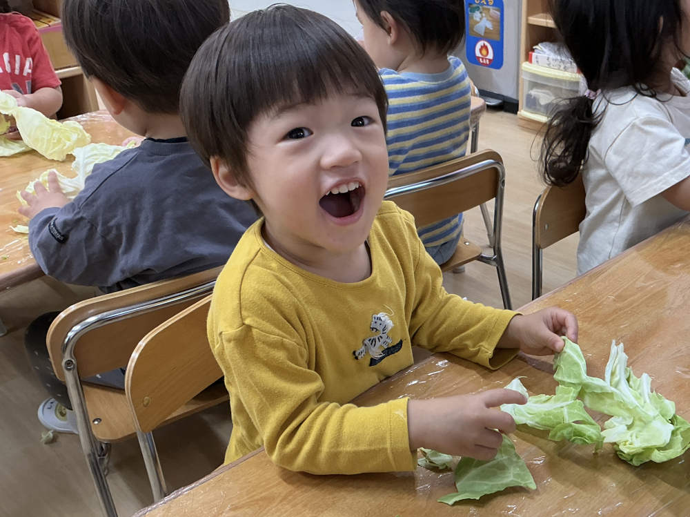 食育　キャベツを見る・触れる