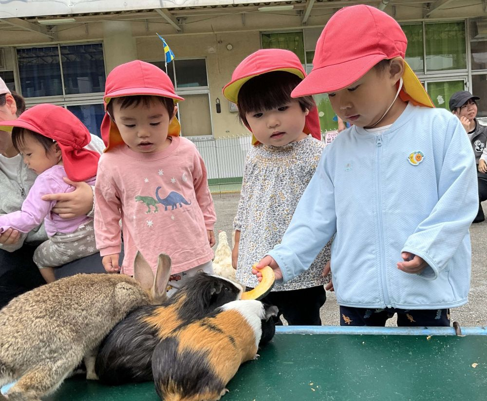 動物村