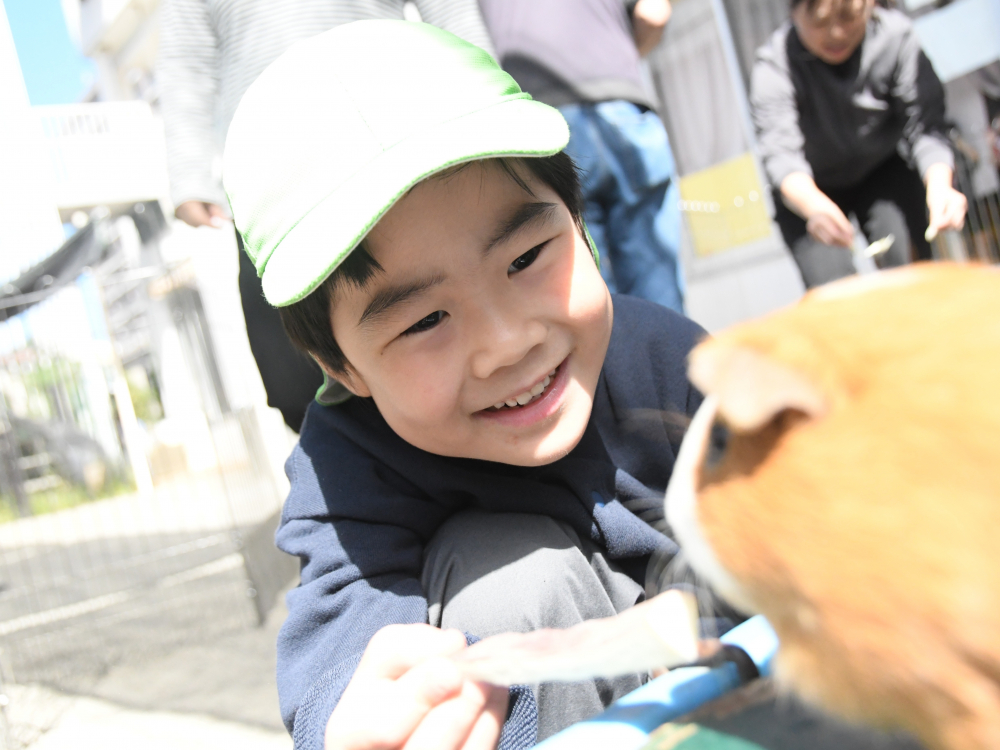 動物たちが遊びに来たよ！