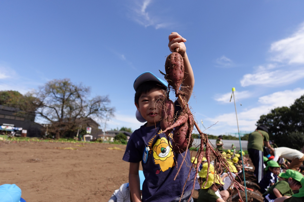 芋ほり遠足